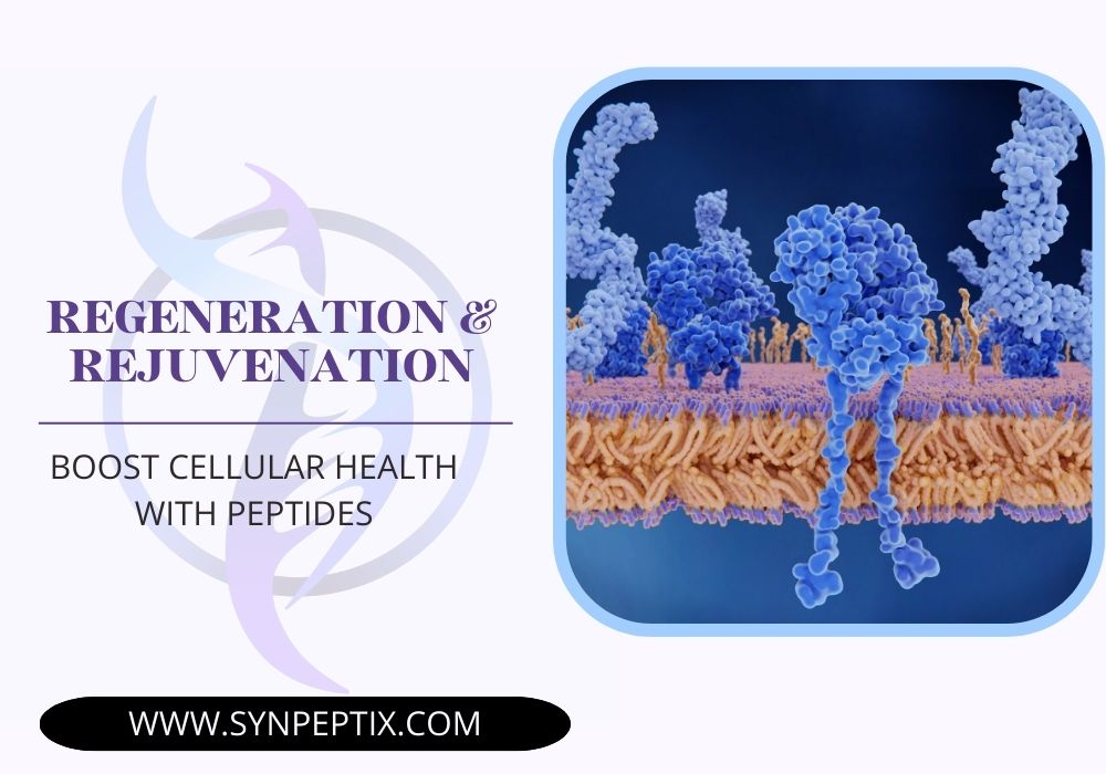 Boost Cellular Health with Peptides for Regeneration & Rejuvenation